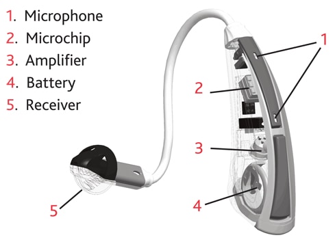 What are the parts of a hearing aid?